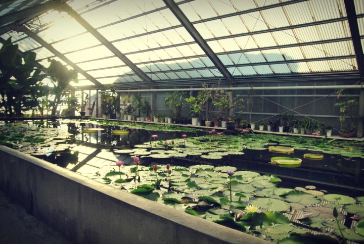 CYMERA_20130921_105113