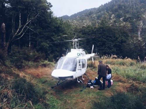 Processed with VSCOcam with a5 preset