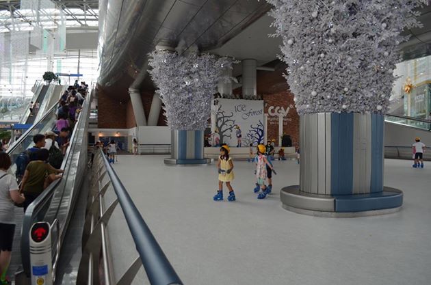 1005352_509690251531_202276192_n