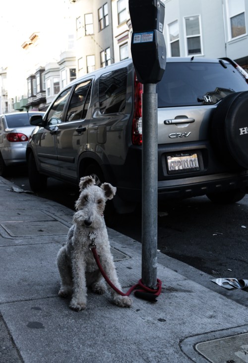 usa-california-san-francisco