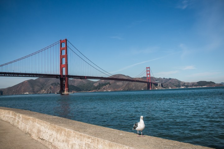 usa-california-san-francisco