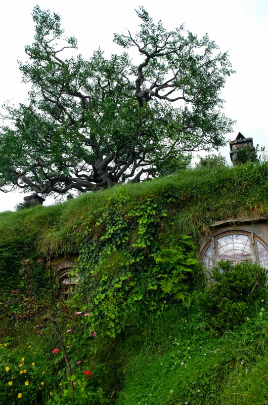 hobbiton-new-zealand-matamata