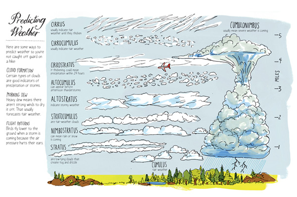 natureanatomy_juliarothman2
