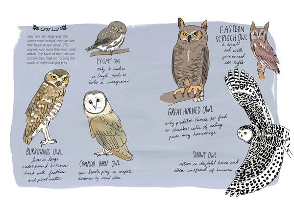 natureanatomy_juliarothman9