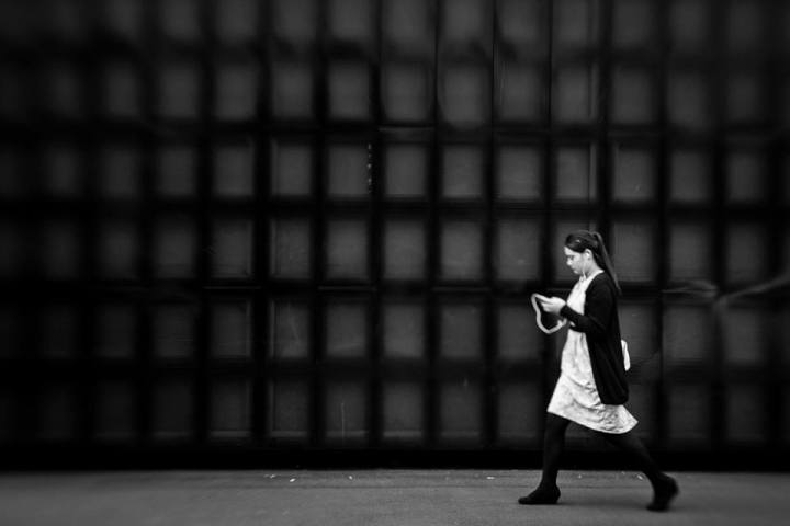 auckland new zealand www.zoz.co.nz