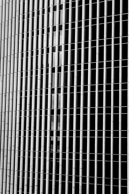 auckland new zealand www.zoz.co.nz