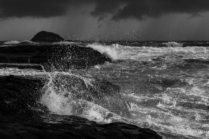 auckland new zealand www.zoz.co.nz