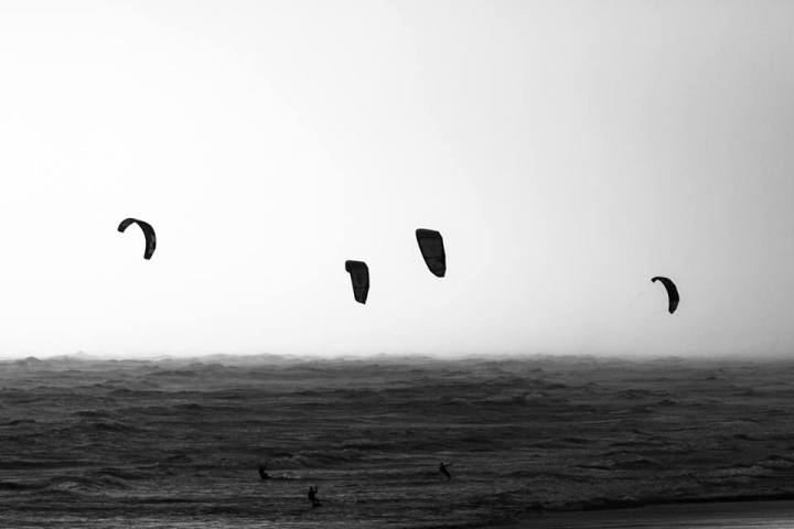 auckland new zealand www.zoz.co.nz