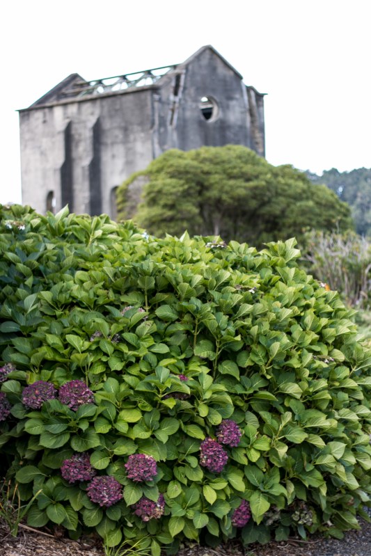 waihi-new-zealand-tauranga