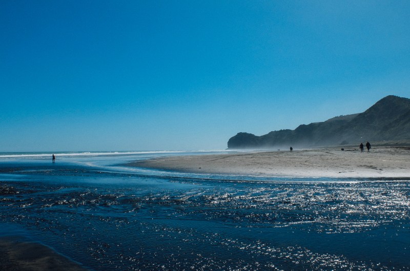 new zealand-auckland-piha-beach