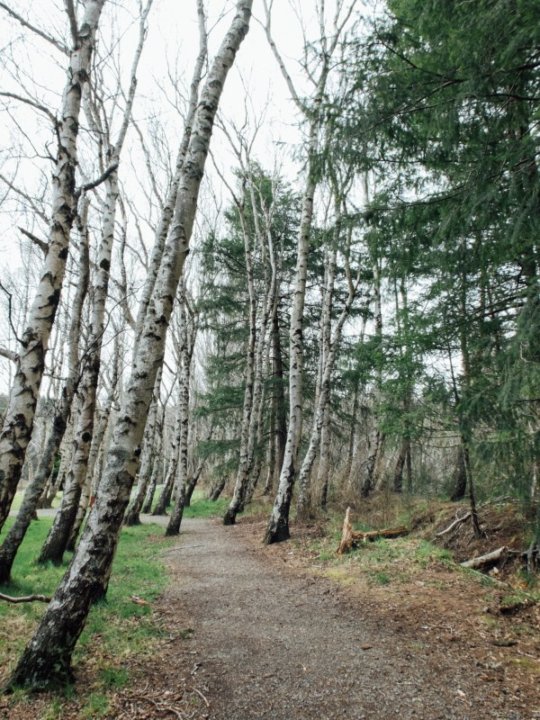 new zealand, south island, Canterbury, hanmer springs