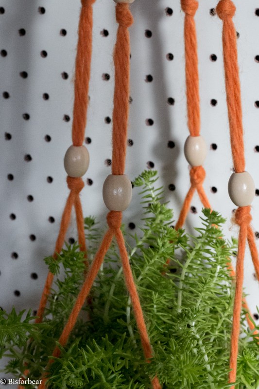 macrame plant hanger