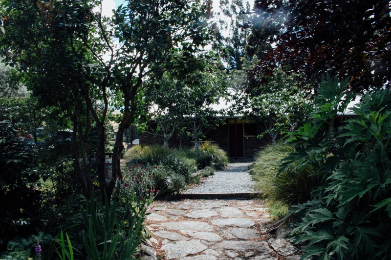 new zealand, greenery, south island