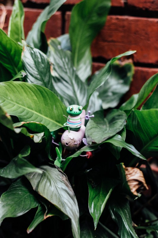 australia-melbourne-travel