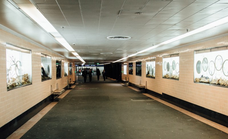 australia-melbourne-travel