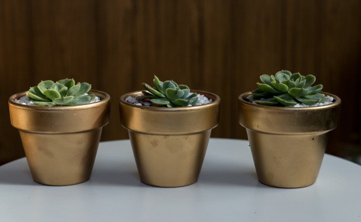 macrame-plant-hanger-bisforbear-succulent