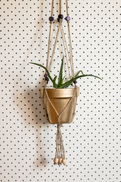 macrame-plant-hanger-succulent-bisforbear