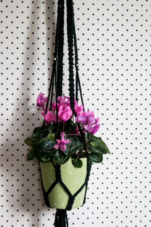 macrame-plant-hanger-succulent-bisforbear