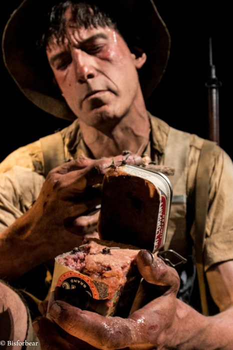 wellington-te-papa-gallipolli