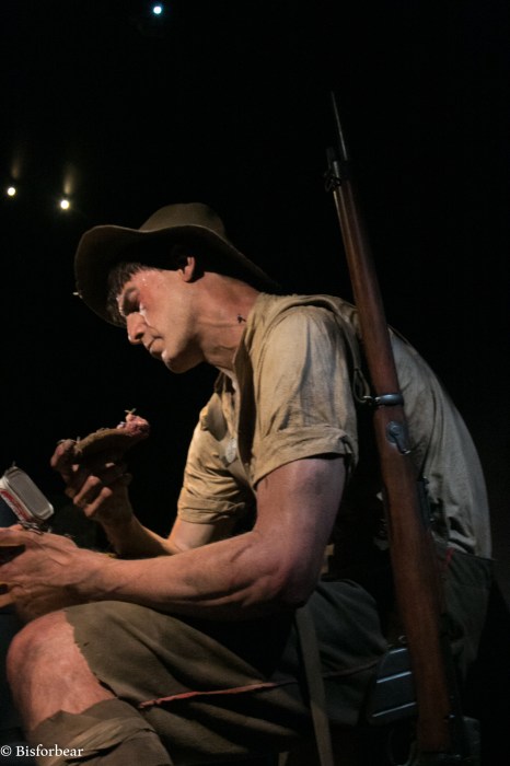 wellington-te-papa-gallipolli