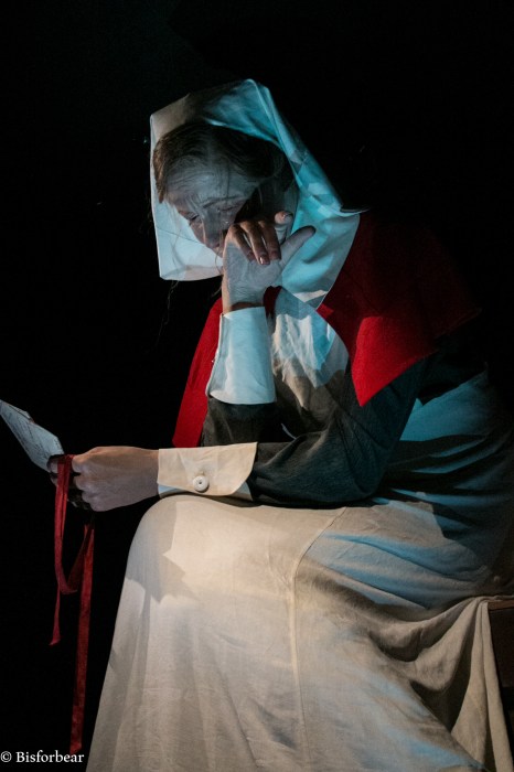 wellington-te-papa-gallipolli