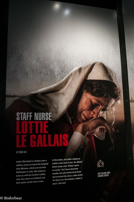 wellington-te-papa-gallipoli