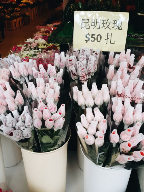hong-kong-travel-flower-market