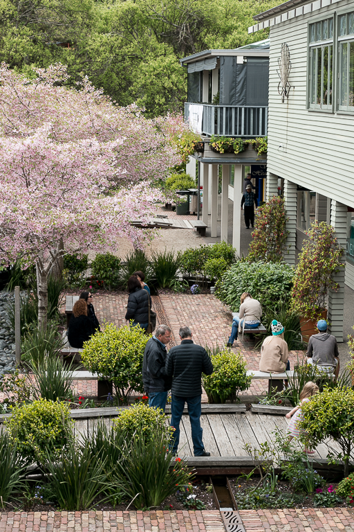 matakana-market-new-zealand