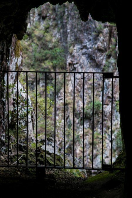 karangahake_gorge-new-zealand